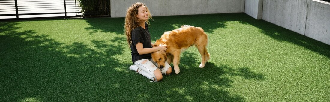 Young woman and her golden retriever enjoying playtime on clean synthetic turf